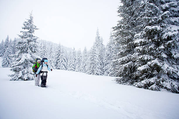 istock Hiker in the winter forest 490288678