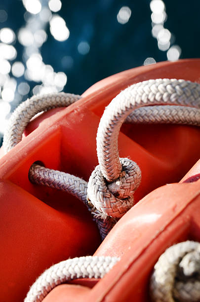 Anillos de vida de Orange - foto de stock