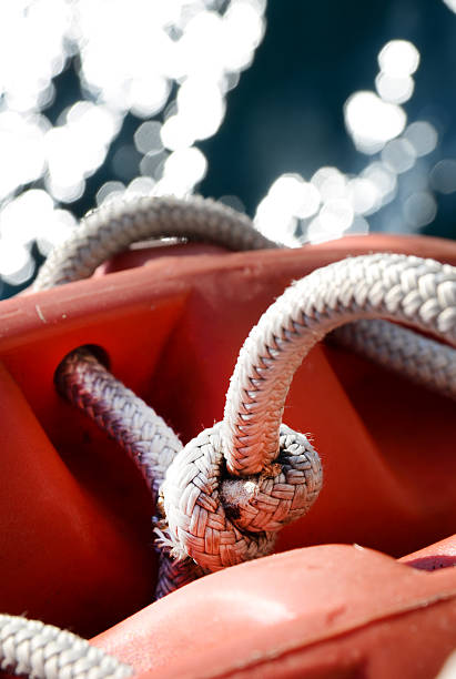 Anillos de vida de Orange - foto de stock