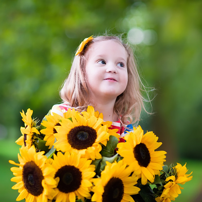 Happy laughing little girl holding sunflower bouquet. Child playing with sunflowers. Kids picking fresh sun flowers in the garden. Children gardening in summer. Outdoor fun for family.