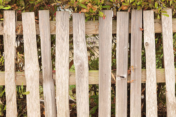 istock Wood Picket Fence Architecture 490304824