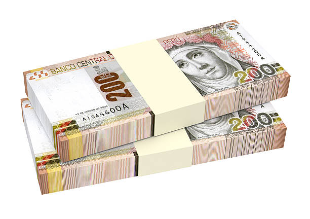 istock Peruvian nuevos soles isolated on white background. 490305196