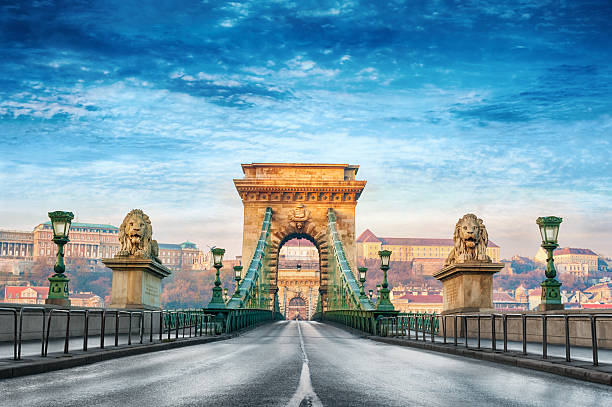 цепной мост будапешта - royal palace of buda фотографии стоковые фото и изображения