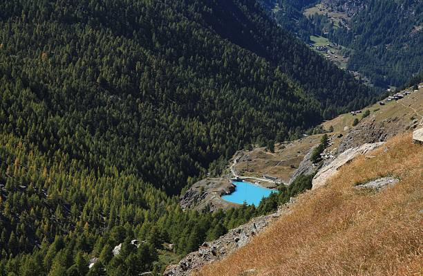 lago azul-turquesa mosjesee e colorida floresta larch - findeln - fotografias e filmes do acervo