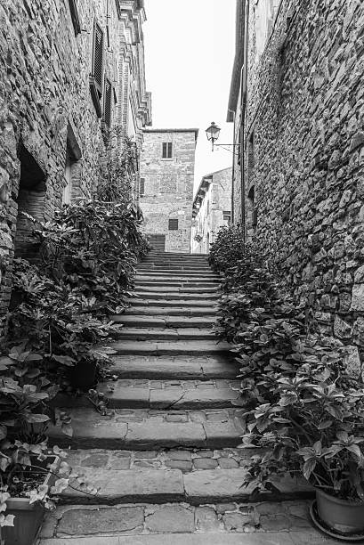 Young woman travels beautiful Tuscany, Italy with her dog