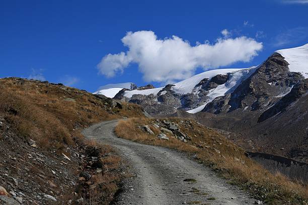 istock Country road in Zermatt 490306702