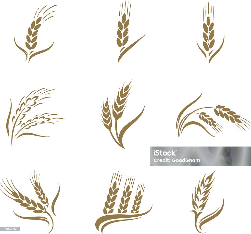 Wheat icon set Wheat stock vector