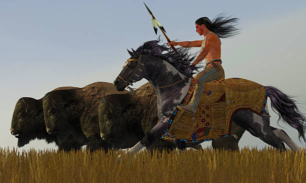 Indian and Paint Horse A herd of bison scatter in a desperate attempt to get away from an American Indian brave on his paint horse. pony photos stock pictures, royalty-free photos & images