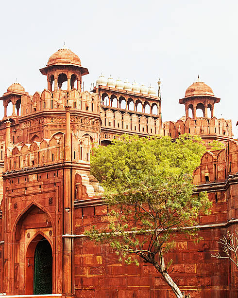 istock Red Fort, Old Delhi 490308200