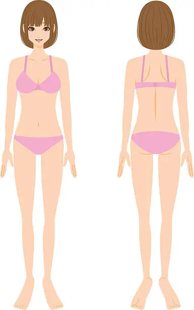 Vector illustration of Female underwear