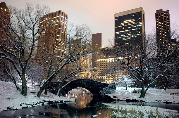 istock Central Park NYC at night in winter 490310334