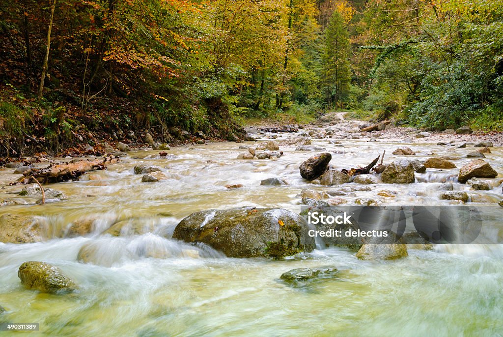 Mountain stream in den Bayerischen Alpen - Lizenzfrei Alpen Stock-Foto