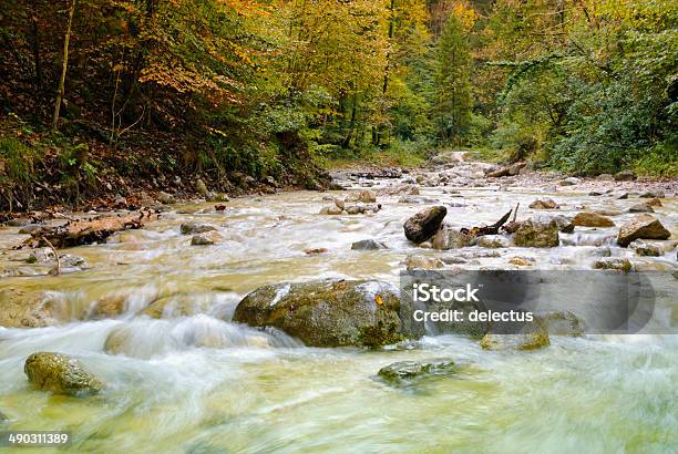 Mountain Stream In Den Bayerischen Alpen Stockfoto und mehr Bilder von Alpen - Alpen, Bach, Bayern