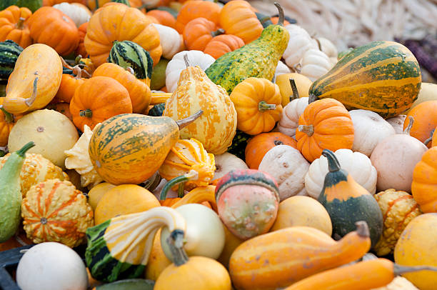 istock Arrangment of Gourds 490311618