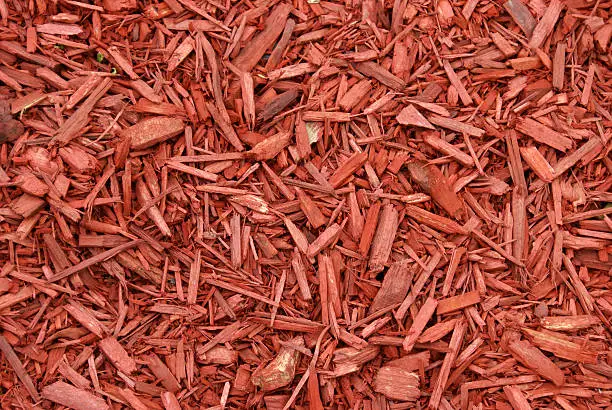 Photo of Red Mulch