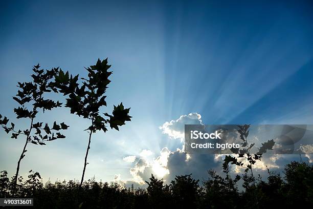 Sunbeam Stock Photo - Download Image Now - Black Color, Blue, Bright