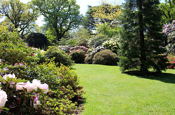 istock Landscaped garden with flower bed, lawn, shrubs and sequoia tree 490313639