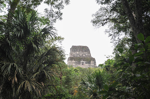 istock The Mayan ruins of Tikal 490313643