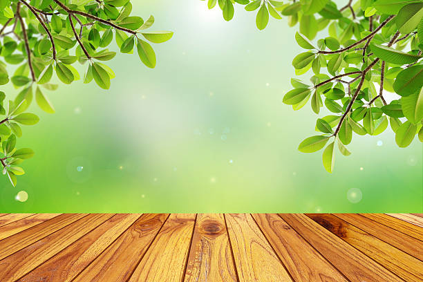 istock green leaf with wood floor 490313758