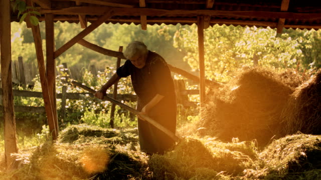 Old Woman Working in the Fields
