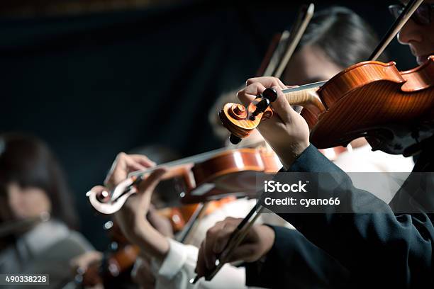 Symphony Orchestra Violinists Performing Stock Photo - Download Image Now - Violin, Orchestra, Classical Music