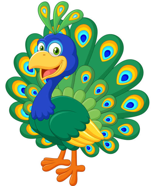 말풍선이 있는 아름다운 공작새 격리됨에 흰색 배경의 - close up peacock animal head bird stock illustrations