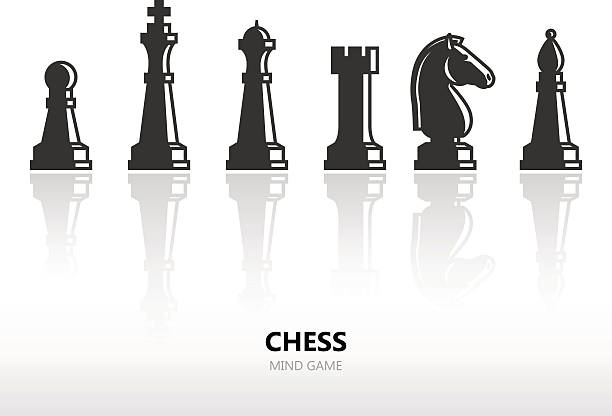Chess pieces Chess pieces or chess figures. Vector silhouette icon set with reflection knight chess piece stock illustrations