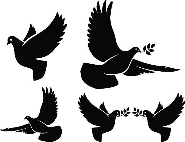Where silhouettes Dove silhouettes. Vector flying dove with olive branch black silhouettes on white background dove stock illustrations