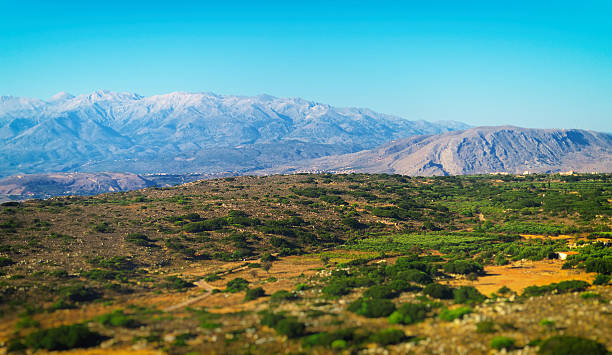 istock Aerial view of mountains and desert. 490344810