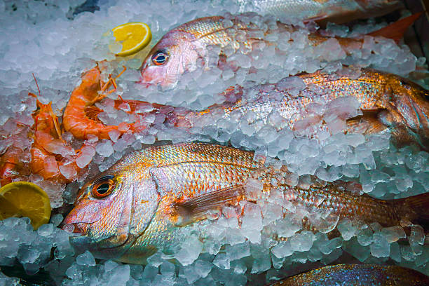 pesce fresco e piatti di mare su ghiaccio - fish catch of fish seafood red snapper foto e immagini stock