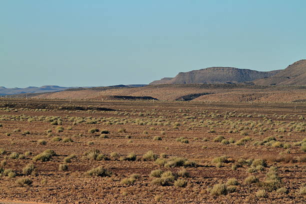 der richtersveld nationalpark w namibii - richtersveld national park zdjęcia i obrazy z banku zdjęć