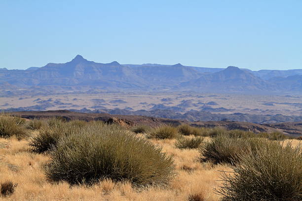 der richtersveld nationalpark w namibii - richtersveld national park zdjęcia i obrazy z banku zdjęć