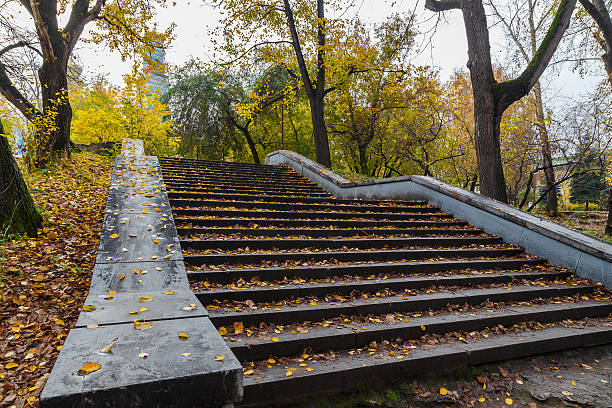istock Stairs in park autumn day 490359364