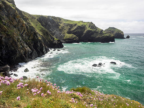 Mullion cove Cliff face at Mullion cove , Cornwall mullion cove stock pictures, royalty-free photos & images