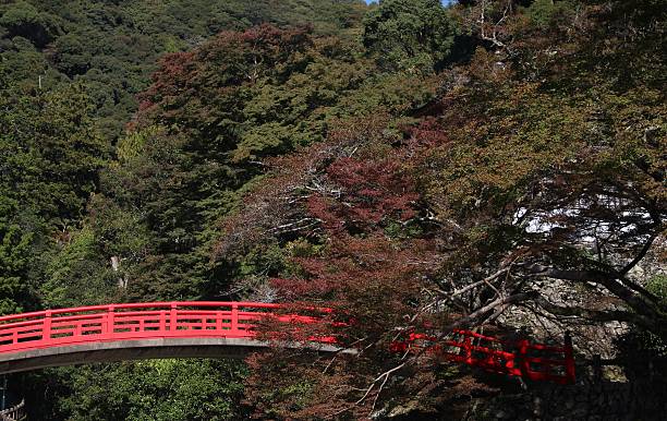 istock Red bridge against red maple leaves, Minoo, Japan 490360550