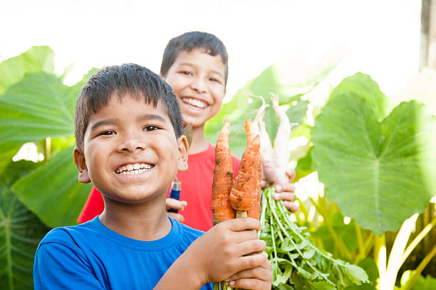 Children proudly harvest vegetables from community garden. Two boys of Asian, Indian, Latin descent  proudly show off the vegetables that they recently harvested from their community's garden.  The organic vegetables include a hand full of fresh carrots and white radishes.  Various themes: environmental conservation, go green, Earth Day, gardening, organic agriculture.   developing countries photos stock pictures, royalty-free photos & images