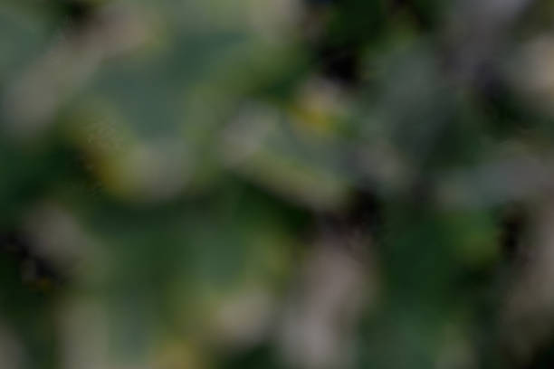 istock strongly blurred background in gray-blue-green colors 490362944