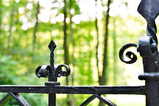 Luxury black iron fence with defaced background and copy space.