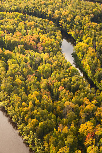 istock Top view of forest river in autumn 490367456