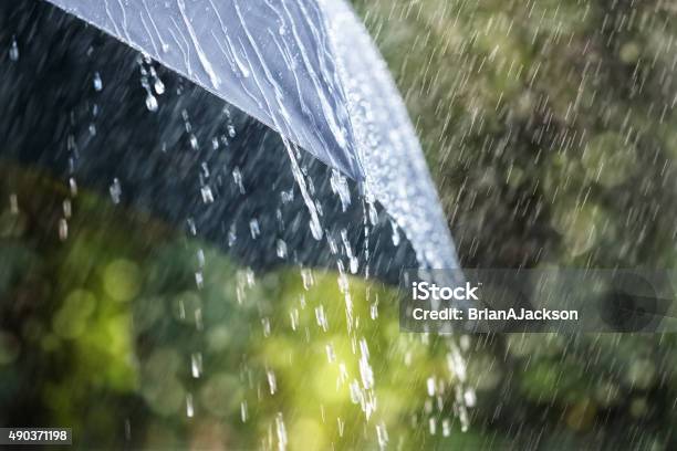 Rain On Umbrella Stock Photo - Download Image Now - Rain, Torrential Rain, Umbrella