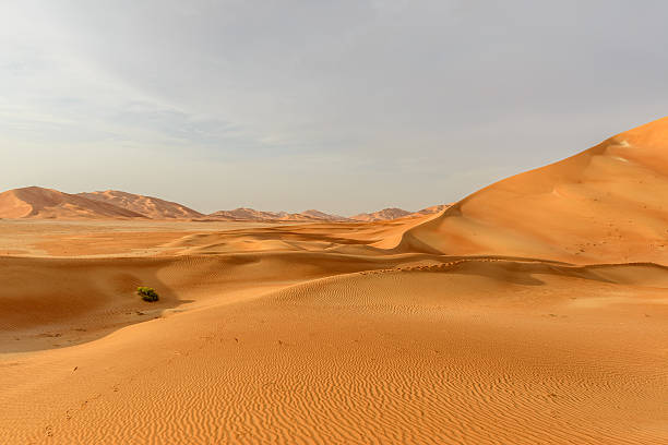 istock Sand dunes in Oman desert (Oman) 490373705
