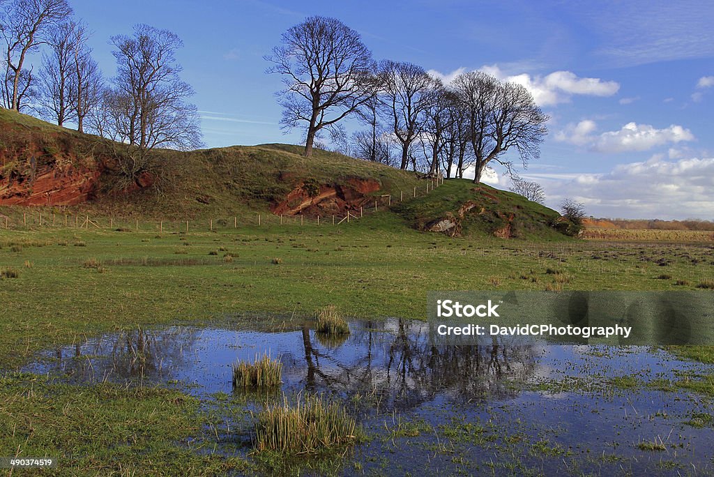 Countryside Meadow Reflection Spring scene of a countryside tree clad sandstone ridge reflected in a seasonal pond The Wirral Stock Photo