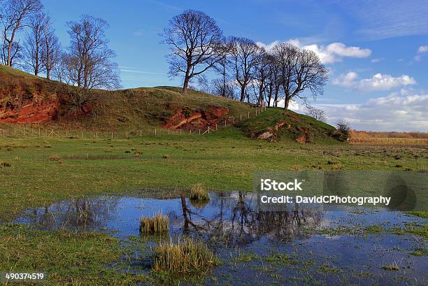 Countryside Meadow Reflection Stock Photo - Download Image Now - The Wirral, Sandstone, Cheshire - England