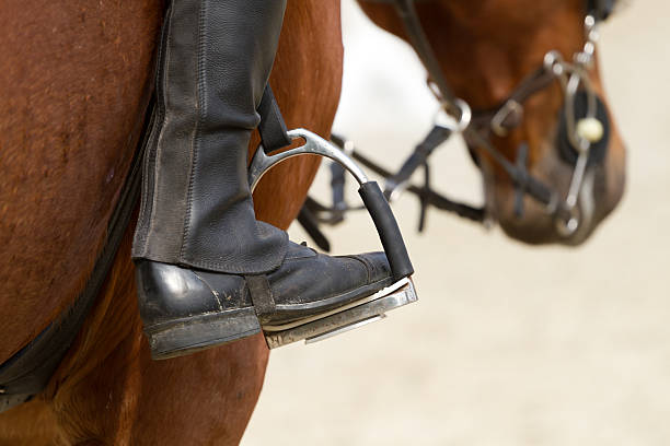 istock dressage out 490376687