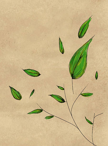 Leaf shoots with dark background
