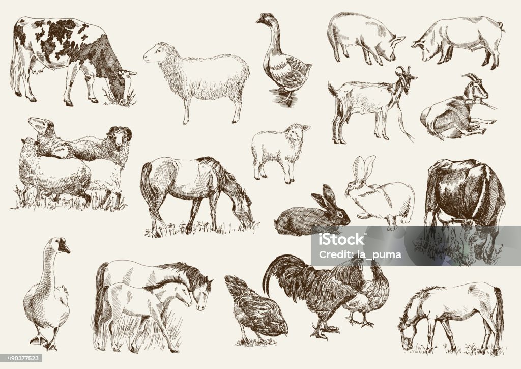 Farm Animals Stock Illustration - Download Image Now - Livestock,  Illustration, Pig - iStock