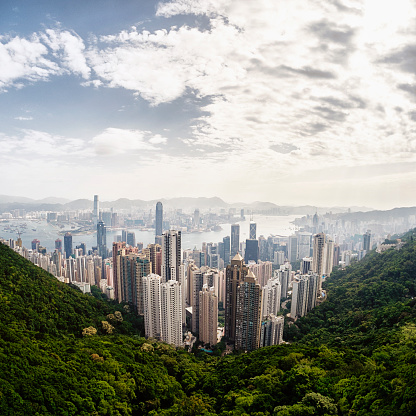 The Hong Kong skyline surrounded by foliage.