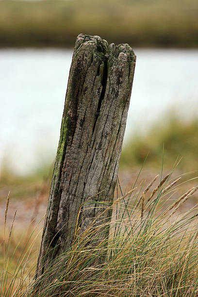 istock England: Old Mooring Post at Blakeney Harbour. 490379125