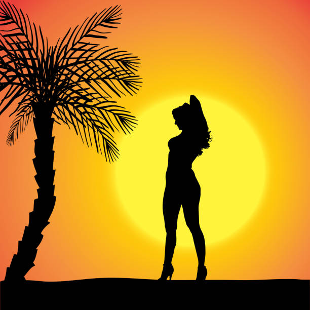 wektor sylwetka kobiety. - sensuality party sun sunlight stock illustrations