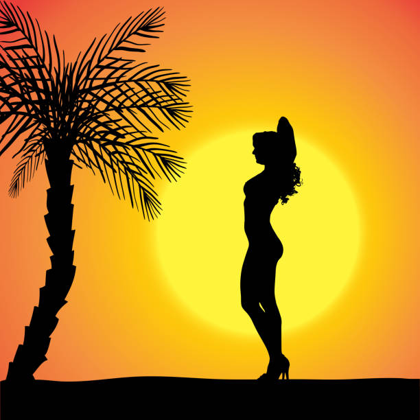 wektor sylwetka kobiety. - sensuality party sun sunlight stock illustrations